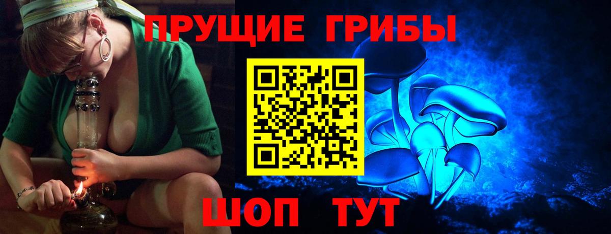 Алатырь  Псилоцибиновые грибы прущие грибы  Вход с VPN 