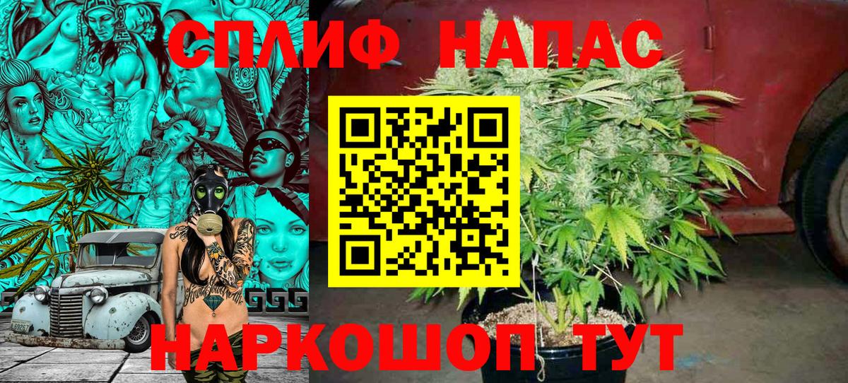 Конопля SATIVA & INDICA Алатырь